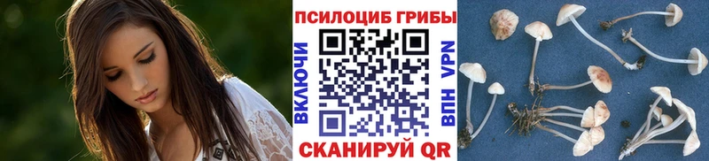 ОМГ ОМГ как войти Новотитаровская Псилоцибиновые грибы MAGIC MUSHROOMS где купить наркоту